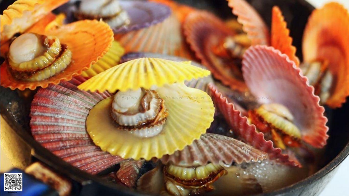 Khám Phá Các Quán Ốc Nhậu Ngon Tại Nha Trang Được Săn Đón Nhất