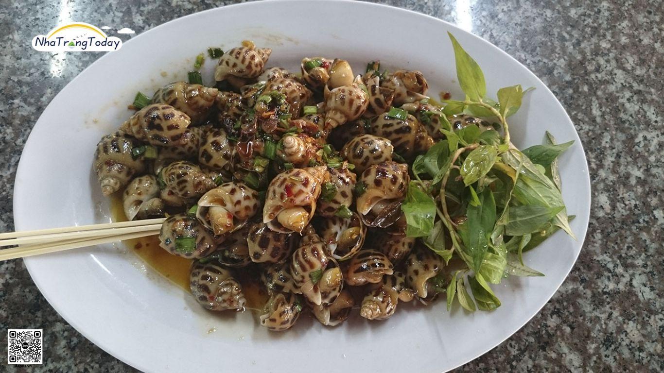 Khám Phá Các Quán Ốc Nhậu Ngon Tại Nha Trang Được Săn Đón Nhất