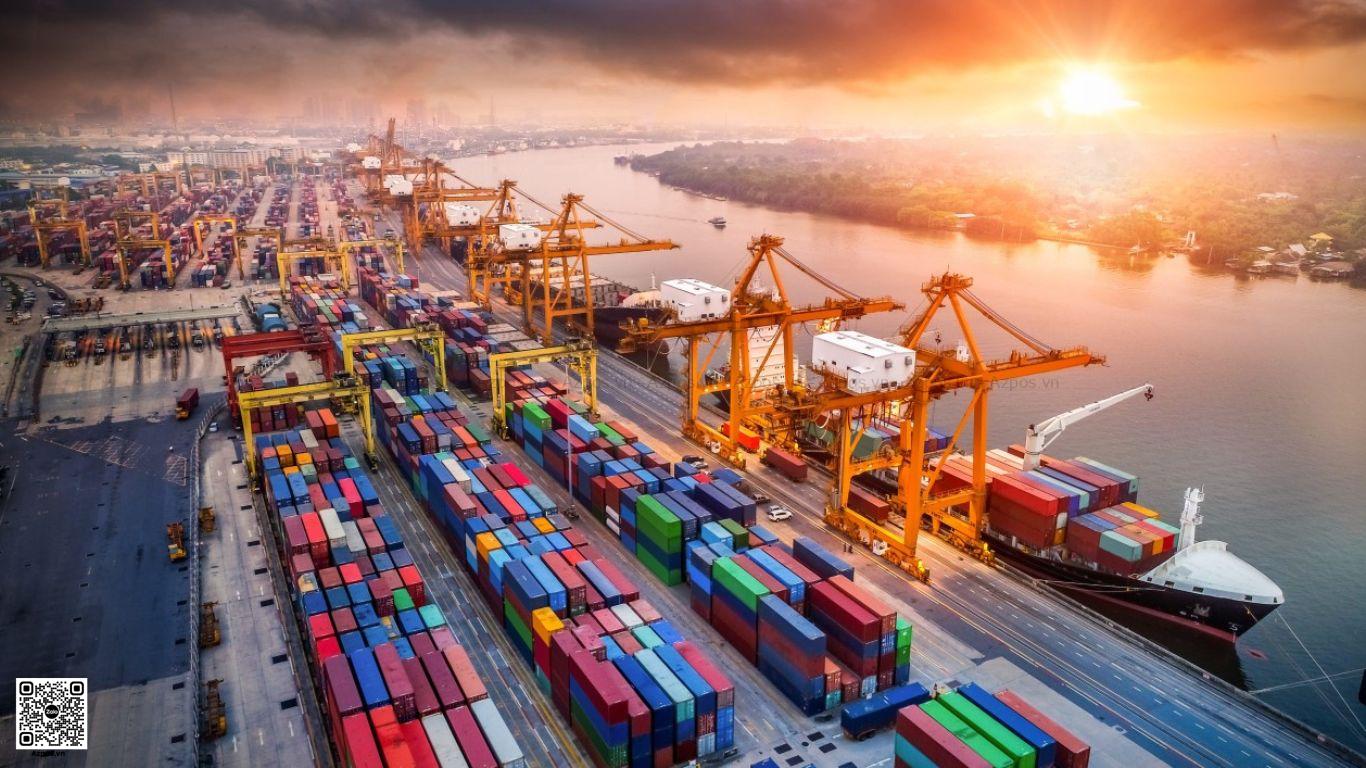 CNF Trong Xuất Nhập Khẩu Là Gì? Tìm Hiểu Về Vai Trò Quan Trọng Của CNF