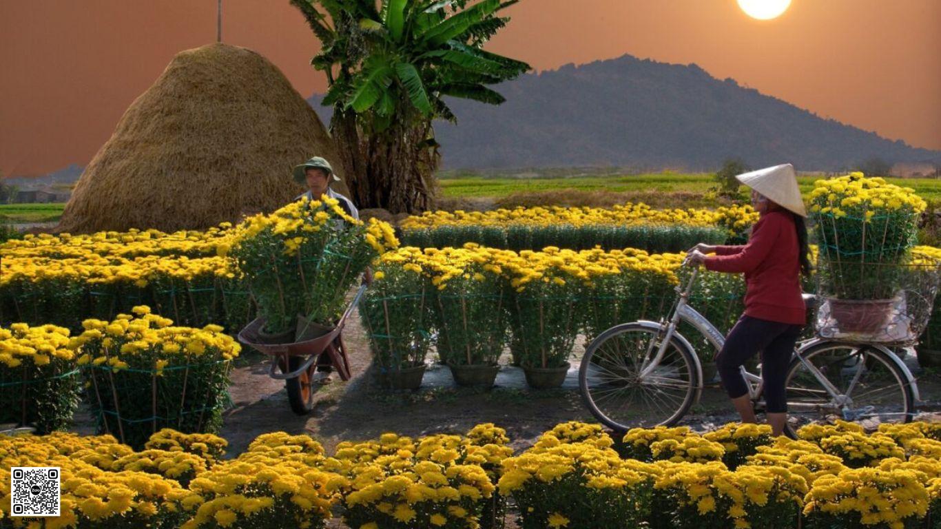 Những Việc Gì Cần Chuẩn Bị Trước Tết Để Đón Một Năm Mới Trọn Vẹn