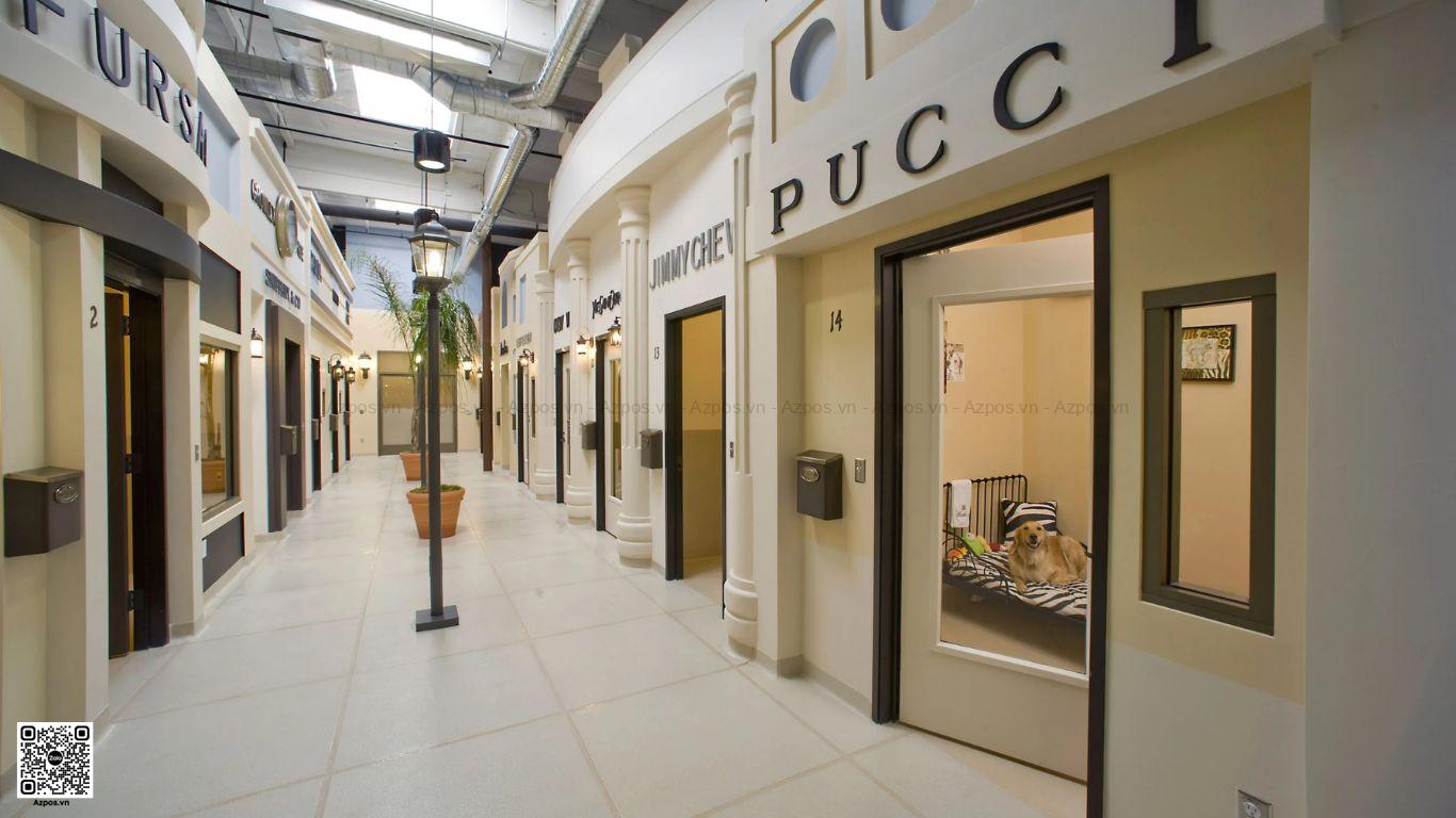 Mở Khách Sạn Thú Cưng (Pet-Friendly) Có Đông Khách Không