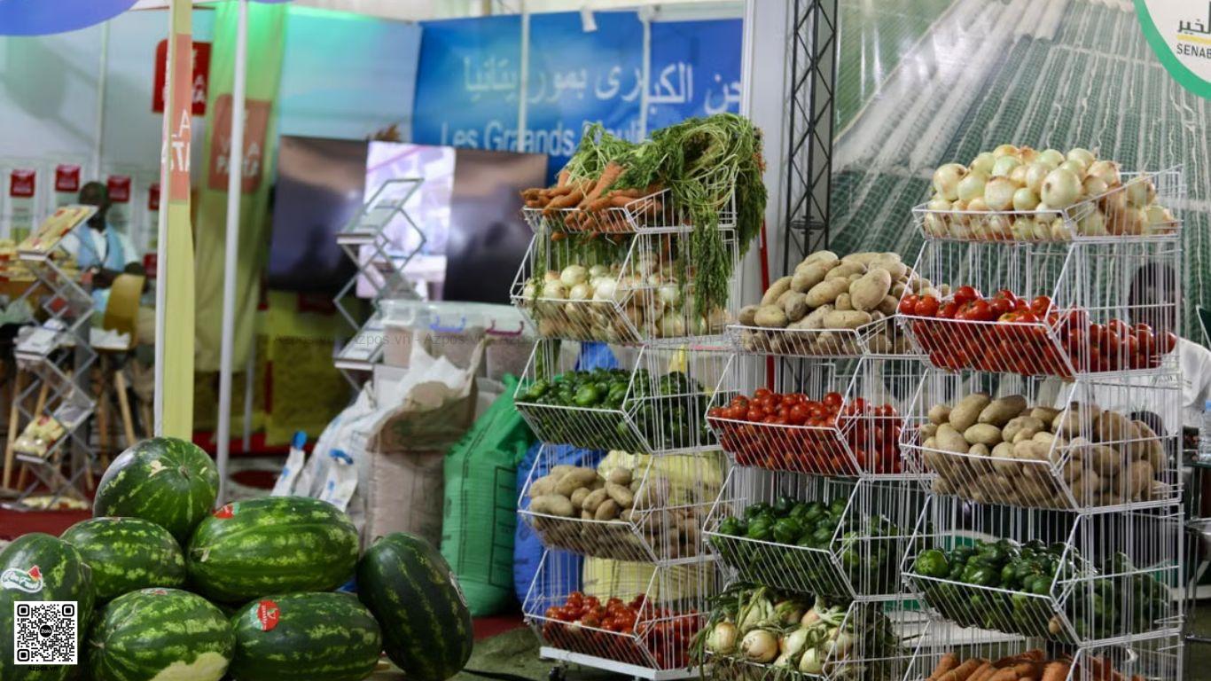 Nhập Hàng Thực Phẩm Cho Bếp Chọn Nhà Cung Cấp