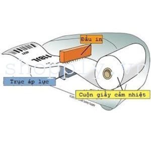 Máy in mã vạch, in nhiệt trực tiếp