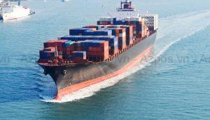 CDS Trong Xuất Nhập Khẩu Là Gì? Tầm Quan Trọng Của CDS Trong Thương Mại Quốc Tế
