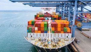 CDS Trong Xuất Nhập Khẩu Là Gì? Tầm Quan Trọng Của CDS Trong Thương Mại Quốc Tế