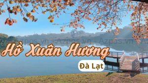 Trải Nghiệm Vẻ Đẹp Yên Bình Tại Hồ Xuân Hương Thành Phố Ngàn Hoa Đà Lạt