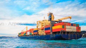 CDS Trong Xuất Nhập Khẩu Là Gì? Tầm Quan Trọng Của CDS Trong Thương Mại Quốc Tế