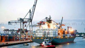 Vai Trò Của Logistics Trong Quản Lý Xuất Nhập Khẩu Hiện Đại Ngày Nay