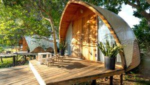 Glamping Là Gì? Mở Cắm Trại Sang Cần Bao Nhiêu Vốn Và Có Lãi Không