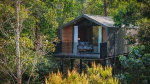 Nhà Trên Cây (Treehouse) Cho Thuê Cần Bao Nhiêu Vốn