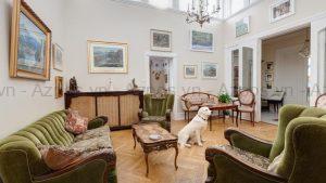Mở Khách Sạn Thú Cưng (Pet-Friendly) Có Đông Khách Không