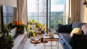 Cách Set Up Homestay Đón Thú Cưng Và Lưu Ý Để Không Rắc Rối