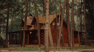 Homestay Nhà Gỗ, Nhà Lắp Ghép Chi Phí Và Độ Bền